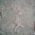 El cooksnap de roset cuando hizo Pollo en salsa poblana.
