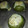 El cooksnap de Célica Maffei cuando hizo Zapallitos rellenos express!!.