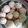 Cooksnap dari Dwi Ratna untuk resep Cookies Susu Dancow