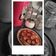 El cooksnap de karen Noemi Angelo cuando hizo Hotcakes de avena.