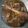 Cooksnap dari Ressiy Ressiy untuk resep SEMUR ARAB (daging kambing)