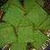 Cooksnap dari Iin Setia W untuk resep Proll Tape