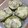 El cooksnap de Marcela Mendevil cuando hizo Zapallitos Rellenos con carne picada.