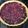 Cooksnap de Eva Bodineau sur la recette Tarte aux prunes du jardin crème vanille citron