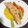 El cooksnap de Tamari Serrano Araujo cuando hizo Salmón a la naranja en Lékué.
