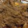 Cooksnap dari Kamelia W Pribadi untuk resep Rendang Daging Jawa