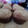 El cooksnap de nadia cuando hizo Magdalenas rellenas con dulce de leche.