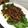 Cooksnap dari Adrian Tirtawidjaja untuk resep Tumis Daging Sapi Sayur Pakcoy