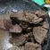 Cooksnap dari Schoryta Vestryriza Irwahyudi untuk resep Empal Gepuk Daging Sapi