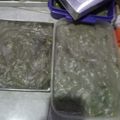 Cooksnap dari Theis Lisnawati untuk resep CIWANG (Aci Bawang)