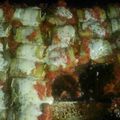 El cooksnap de Maria subelza cuando hizo Canelones de berenjenas o rollitos de berenjenas rellenos.