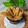 Cooksnap dari Imas Halwati untuk resep Potato Wedges Crispy