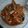 Cooksnap dari Diah Wah untuk resep Udang Tepung Saus Padang (Seafood)