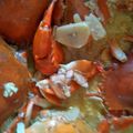 Cooksnap dari Cuma Jamu oleh oleh khas sidoarjo untuk resep KEPITING SAUS MENTEGA ala LC