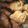 Mariam Azeem (Umme Sarim)'s cooksnap of when they made Chicken broast.