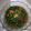 Cooksnap dari Srireski untuk resep Kangkung sambel trasi saos tiram