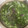 El cooksnap de Anel Tomas cuando hizo Aguachile de camarón.