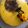 El cooksnap de @tesa.cuina cuando hizo Cheesecake de mango.