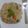 Kavitha Chandran's cooksnap of when they made சேமியா உப்புமா.