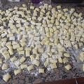 El cooksnap de Cristian Arcara cuando hizo Ñoquis de papa Sin Tacc.