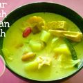 Cooksnap dari 🍄Dapoer Annie🍄 untuk resep Sayur Lodeh Santan Putih