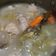 Cooksnap dari tatatatatatatata untuk resep Garang asem ayam tanpa santan