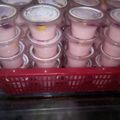 Cooksnap dari rafardhan untuk resep Puding sus stobery dengan toping buah naga.