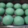Cooksnap Azlina Mohamad semasa beliau membuat Kuih Pau Inti Kelapa.