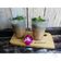 Cooksnap dari Bunda Ei untuk resep Lychee Milk Tea