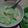 Cooksnap dari bunda Farah untuk resep Singkong Thai lummerr