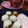 Cooksnap dari Herlina Raditya untuk resep Putu bambu tanpa bambu