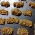 Cooksnap dari Tips Dan lain nya untuk resep Cookies simple 3 bahan bisa teflon bisa oven