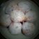 Cooksnap dari Sarifah Nurindah untuk resep Donat kentang ekonomis, menul, lembut, dan tidak ribet