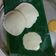 Zoya का कुकस्नैप जब उन्होंने इडली नारियल चटनी (Idli Nariyal chutney recipe in Hindi) बनाया था।