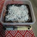 Cooksnap dari Meilanie Windiarti untuk resep Setup Roti Coklat Lumer