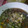 El cooksnap de Patricia Bordon cuando hizo Lentejas con arroz.