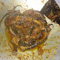 Cooksnap dari Awanis Wardani untuk resep Belut Gongso Boyolali