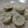 Cooksnap dari Wina Putri untuk resep Putu bambu