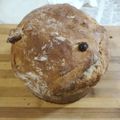 El cooksnap de Mariano Silva cuando hizo Pan dulce alemán Kugelhoph.