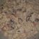Cooksnap dari Ayu Trisna untuk resep Fusilli creamy mushroom sauce