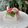 El cooksnap de Regina Hernandez cuando hizo Gelatina de Mosaico. #ElRegaloDeCocinar.