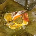 Cooksnap dari emi kurniasih untuk resep Pepes sayap ayam
