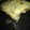 El cooksnap de ansha cuando hizo Masa para pizza.