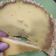 Cooksnap dari Susetianingsih untuk resep Pie Susu Teflon Anti Gagal