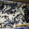 Cooksnap dari Umi ASHFIYA untuk resep Setup Pisang Roti Tawar
