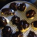 Cooksnap από Ολγα στη συνταγή Βάσεις για σου και εκλέρ