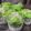 Cooksnap dari Kurnia Sih untuk resep Bolkus ngakak tanpa air soda (all in one)