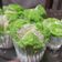 Cooksnap dari Kurnia Sih untuk resep Bolkus ngakak tanpa air soda (all in one)
