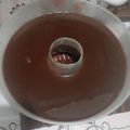 Cooksnap dari Meitasari Naufal untuk resep Puding coklat skm