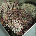 Cooksnap Nur Arissa Mohd Asraf semasa beliau membuat Kek coklat moist.